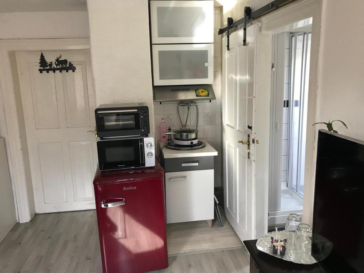 Ferienwohnung Im Einfamilienhaus, Automobil Und Robert Schumann Stadt ツウィッカウ エクステリア 写真